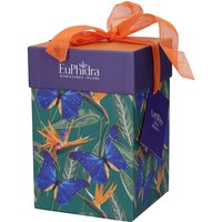 Euphidra seta beauty 2 pezzi