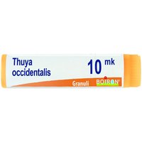 Thuya occident xmk gl