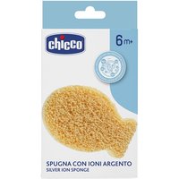 Ch spugna ioni argento