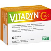 Vitadyn c 1000 40 compresse