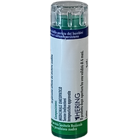 Arnica montana 9ch 120gr 6g