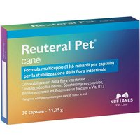 Reuteral pet cane 30 capsule