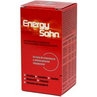 Energysohn 12bust
