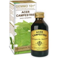 Acero camp 100ml analco gem10+