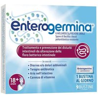 Enterogermina 6miliardi/2g 9 bustine
