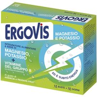 Ergovis mg+k vit b c/zuc12bust