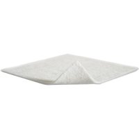 Melgisorb ag medicazione 10x10