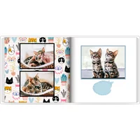 Fotobuch mit Stoffeinband 20x20 - Die Katzen