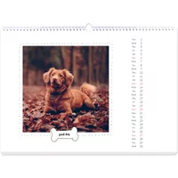 Fotokalender A3 Querformat - Hundekalender