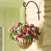 Petunia Mixed Hanging Basket
