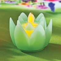 Green Lotus With Led