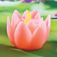 Pink Lotus With Led