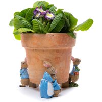 Pot Feet Peter Rabbit Carrot Set