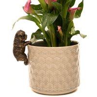 Pot Buddies British Bulldog Bronze