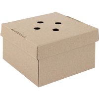 Cost Cutters Enjoy a 54% Discount on Fiesta Compostable FoldOut Burger Boxes 100