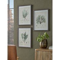 View Three botanical wall art prints View Three botanical wall art prints