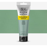 Winsor & Newton : Galeria : Acrylic Paint : 120ml : Pale Olive