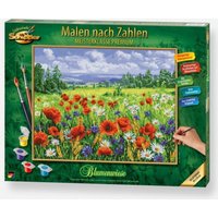 Schipper : Premium Paint By Numbers : Wildflower Meadow