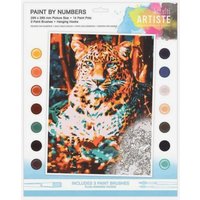 Craft Planet : Paint by Numbers : Resting Leopard