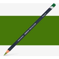 Derwent : Procolour : Colour Pencil : Foliage 51