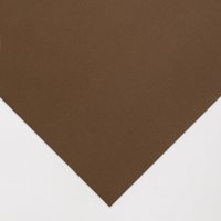 Canson : Mi-Teintes : Velvet Sheets : 50x65cm (Apx. 20x25in) : 430gsm : Brown 605