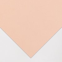 Clairefontaine : Pastelmat : Pastelgrain : 360gsm : 50x70cm (Apx.19.5x27.5in) : 5 Sheets : Sienna