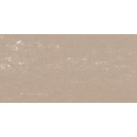 Sennelier : Soft Pastel : Bronze Green Light 164