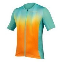 Image of Endura Pro Sl Lite Short Sleeve Jersey Ltd Options X-Large - Aqua