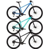 Cyclestore Specialized Rockhopper 29er Mountain Bike 2026 Large (29) - Gloss Obsidian Dune White | Save up to 12% with Loyalty Scheme & FREE 48hr tracked postage over £20.