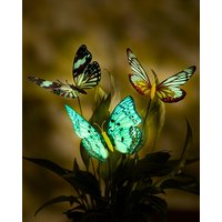 Damart Glow in the Dark Butterflies