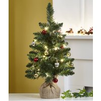 Damart Tree in Hessian Pot