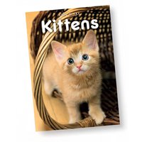 Damart Kittens A5 Diary