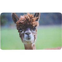 2 Stück Kesper Frühstücksbrettchen Alpaka 23 x 14 cm Melamin rutschhemmende Füßchen, Brotzeit- und Schneidebrett, Küchenbrett 2 Stück Kesper Frühstücksbrettchen Alpaka 23 x 14 cm Melamin rutschhemmende Füßchen, Brotzeit- und Schneidebrett, Küchenbrett