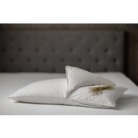 DaunenStep Cuscino con nucleo Perla Fieno