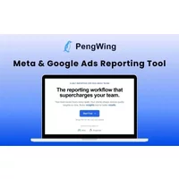 PengWing - Automate Your Meta & Google Ads Reporting in Minutes