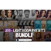 200+ Classic Lightroom Presets Bundle | Extended License