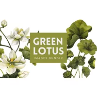 60+ Watercolor Green Lotus Images Bundle | Extended License