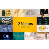 12 Modern Fonts Bundle | Commercial License