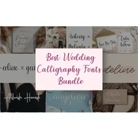Best Wedding Calligraphy Fonts Bundle | Extended License