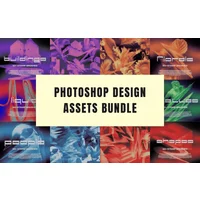 500+ Photoshop Design Assets Bundle | Extended License