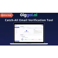 Giggal.ai - Catch-all/Accept-all Email Verification Tool