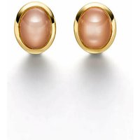 Ohrringe Elaine Firenze 14ct. Gelbgold 55646911E/3 Ohrringe Elaine Firenze 14ct. Gelbgold 55646911E/3