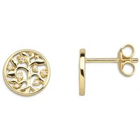 Xenox Damen 925 Sterling Silber Ohrstecker XS3564G Xenox Damen 925 Sterling Silber Ohrstecker XS3564G