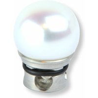 Kopf Perle Edelstahl mit Südwasserperle Kopf Perle Edelstahl mit Südwasserperle