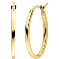 Ohrringe Elaine Firenze 14ct. Gelbgold 1113637E Ohrringe Elaine Firenze 14ct. Gelbgold 1113637E