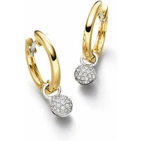 Ohrringe Elaine Firenze 14ct. Weiß/Gelbgold 55644951E/3 Ohrringe Elaine Firenze 14ct. Weiß/Gelbgold 55644951E/3