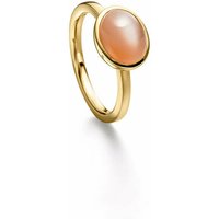 Damenring Elaine Firenze 14ct. Gelbgold 55646911R/3 Damenring Elaine Firenze 14ct. Gelbgold 55646911R/3