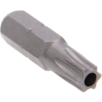 Torx T15 Screw Bit