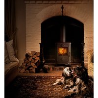 Morso 1010 Wood Burning Ecodesign Stove