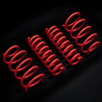 VW Golf MK4 2.3 VR5 & 2.8 VR6 97-03 - 30mm Lowering Springs